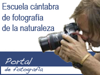 Acceso al portal de fotografía